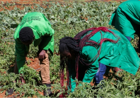 Egerton University’s CoELIB to Work with SNV Kenya to Scale Research, Knowledge Exchange and Innovation in the Agri-energy Nexus